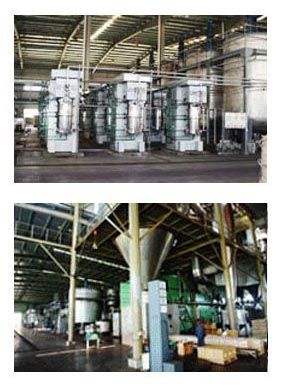 Disperse Yellow & Orange